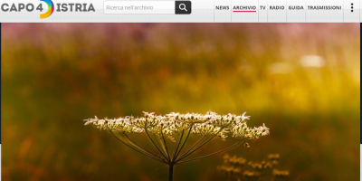 Krepitev imunskega sistema po naturopatsko (v italijanskem jeziku)