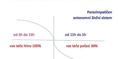 Naturopatski nasveti – Zdrava večerja, članek Novi glas 10.10.2014