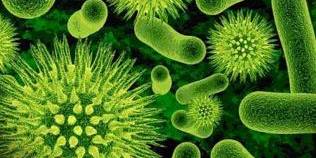 Naturopatski nasveti –  Probiotiki za na dopust 19.7.2014