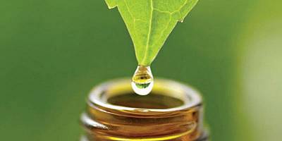Naturopat razlaga, uči, spodbuja, usmerja