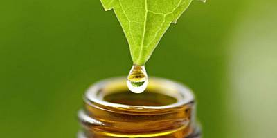 Naloge naturopata