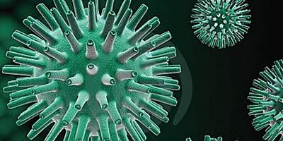 HERPES V CELOSTNI NATUROPATSKI OBRAVNAVI