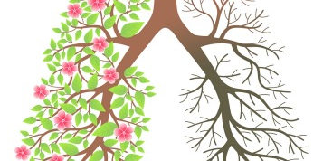 Naturopatska pomoč pri boleznih pljuč