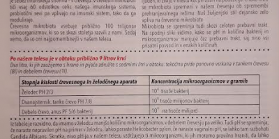 Naturopatski celostni nasveti pri gripi in prehladnih obolenjih