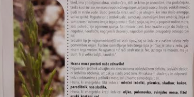 S pravo hrano do stabilnega psihičnega zdravja