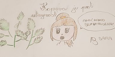 Kopriva v naturopatiji