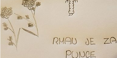 Navadni rman v naturopatiji