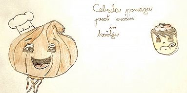 Čebula v naturopatiji