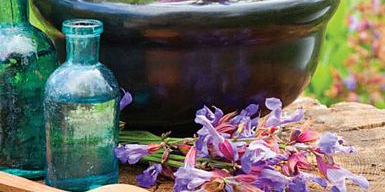 Floriterapija v naturopatiji