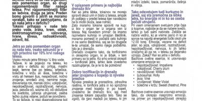 Išijas v Naturopatiji