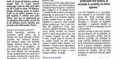 Želodec v naturopatiji