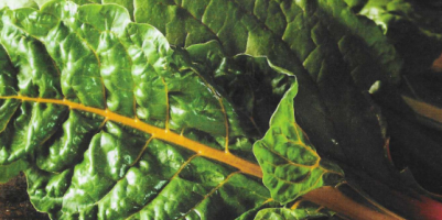 Zdravje jajčnikov v naturopatiji