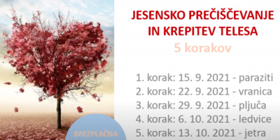 Jesensko prečiševanje – 3. korak Pljuča