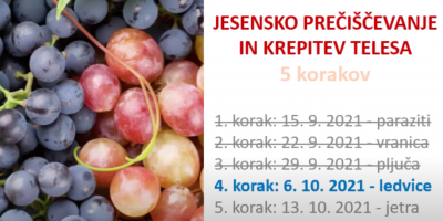 Jesensko prečiševanje – 4. korak Ledvice